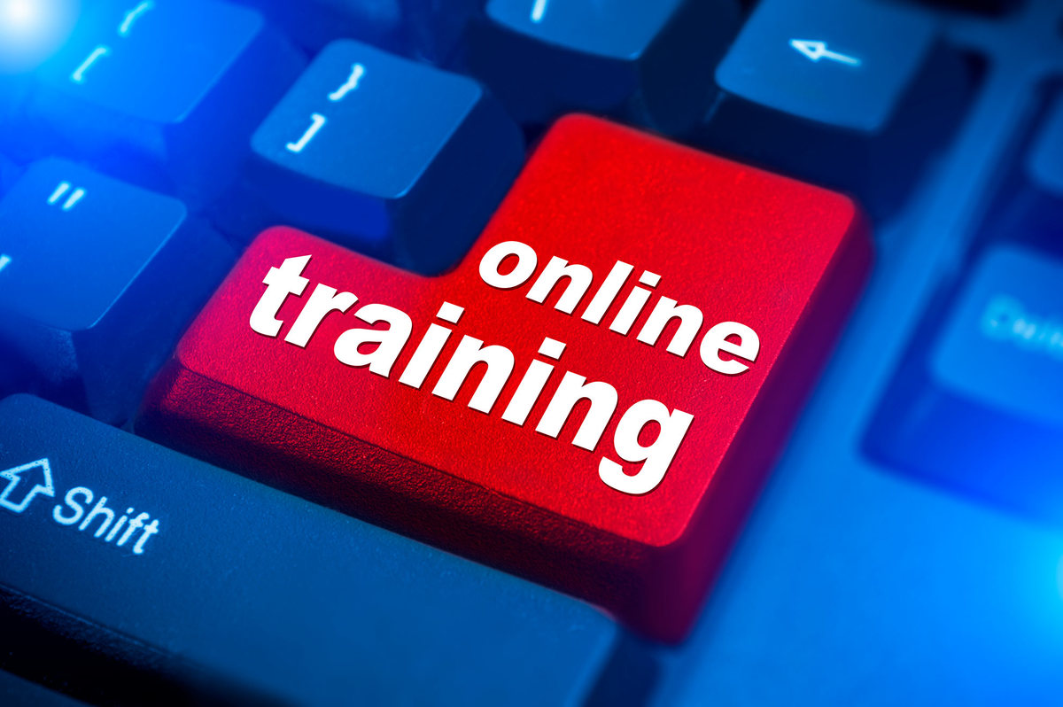 foundations online training 2