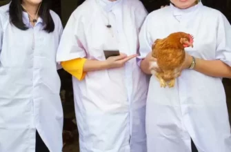 Былтыр ветеринария мамандығына бөлінген 574 грант игерілмеді 5 radmin news 2020 10 20 201020100925006e w860 h580