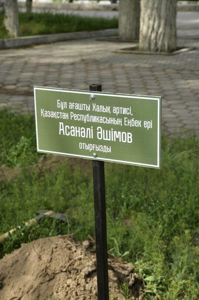 Асанәлі Әшімовтің атаулы ағашы 3 9ea371d6 4475 47f5 a72f 046c537d8bd9