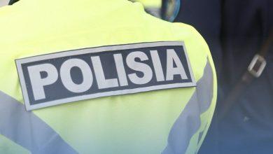 pol e1745215429155