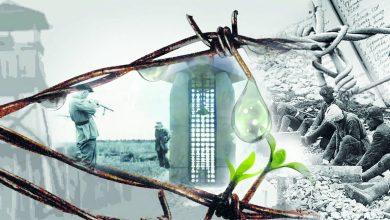 aaaa