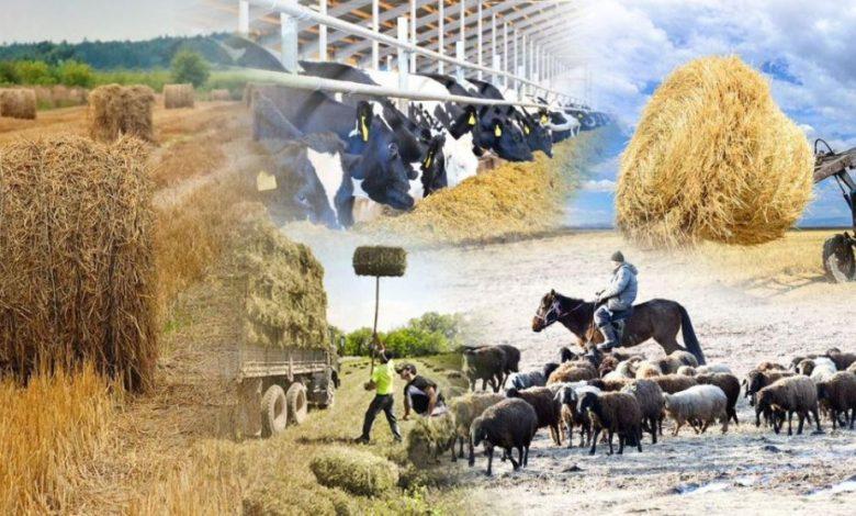 Ауыл шаруашылығы саласына санақ жүргізіледі 1 gggggggg