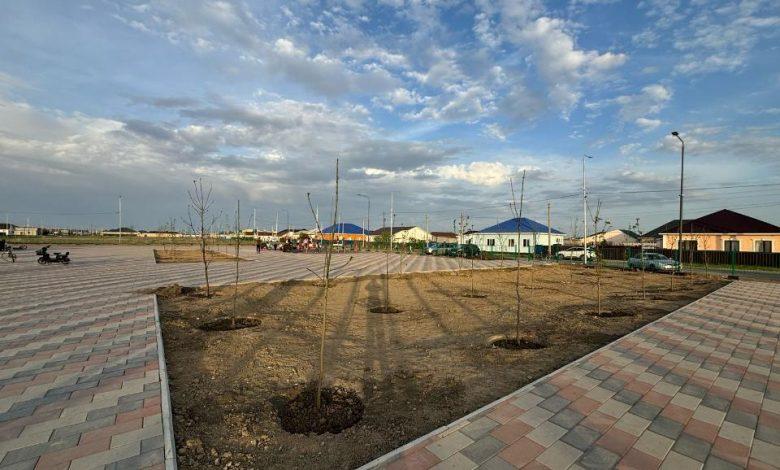 “Жұлдыздағы” орталық саябақ көгалдандырылып жатыр 1 img 0730