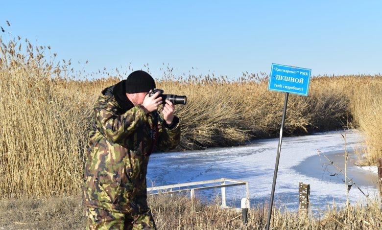 Каспийдің кері шегінуінен қамыс қаулап өсуде 1 jjjjjjjj 1