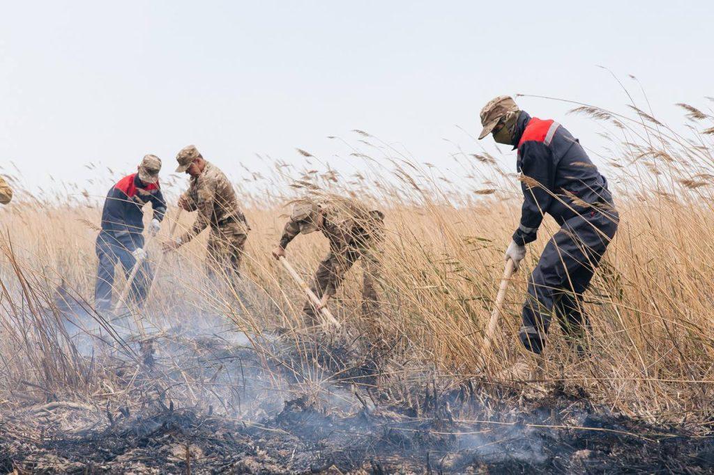 Облыс әкімі «тілсіз жаумен» күрескендерге және өңір тұрғындарына алғыс айтты 3 jjjjjjjjjjjjjjjjjjjjjjjj