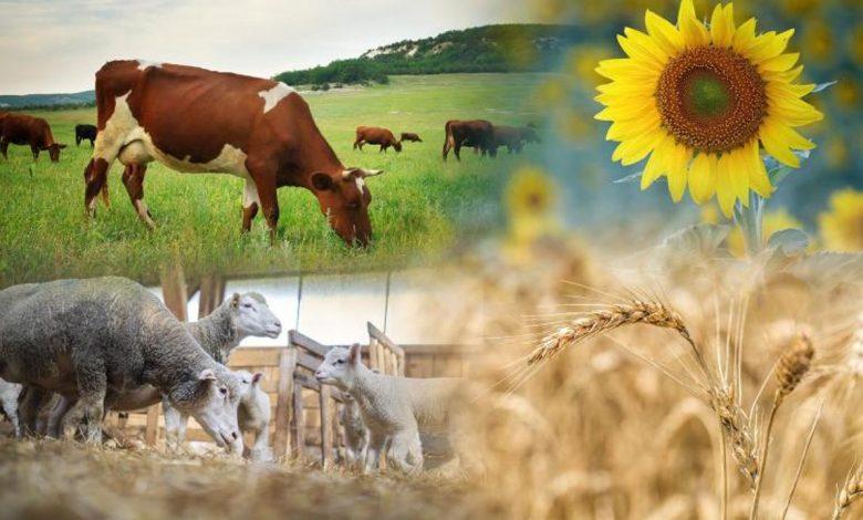 Санақ – ауыл әлеуетінің таразысы 1 sanaq