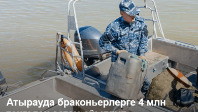 screenshot 2025 07 14 at 09 59 02 atyrauda brakonьerlerge 4 mln tengeden astam ajyppul salyndy atyraupress atyrau oblysynyn aqparattyq resursy 1