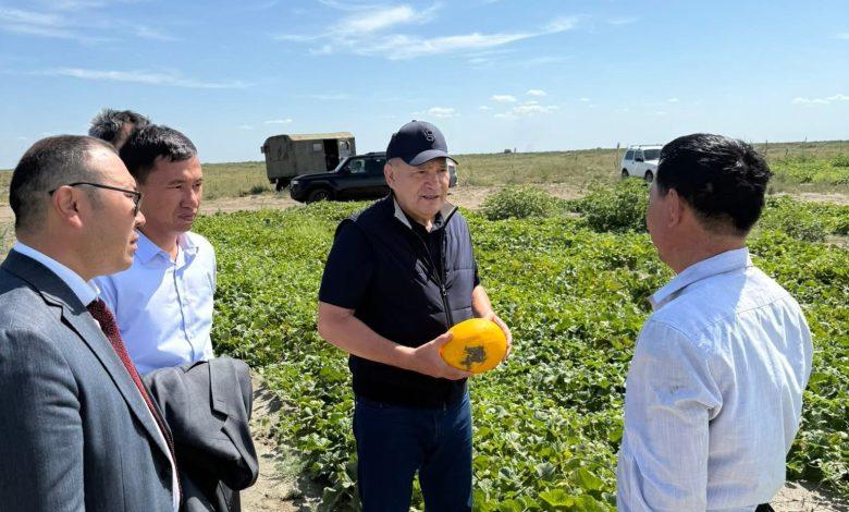 Құрманғазыда жергілікті өнім көлемі артуда 1 img 0563