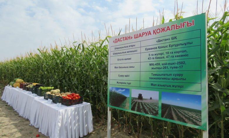 Өңірлік экономика: егін алқабы кеңейіп, техника жаңартылды 1 img 1507